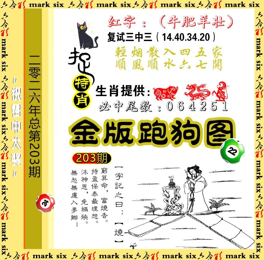 203金版跑狗