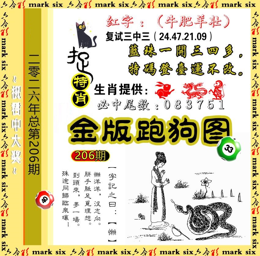206金版跑狗