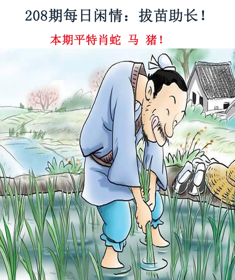 208期每日闲情