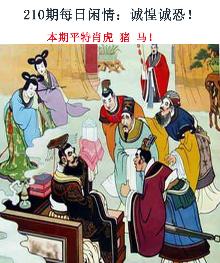210期每日闲情