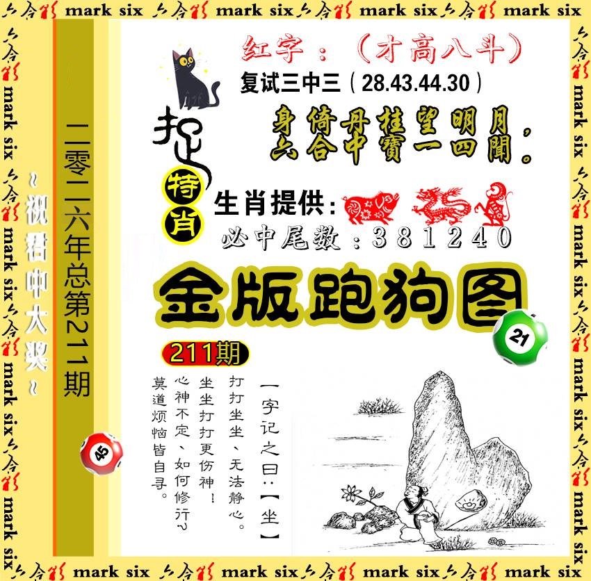 211金版跑狗