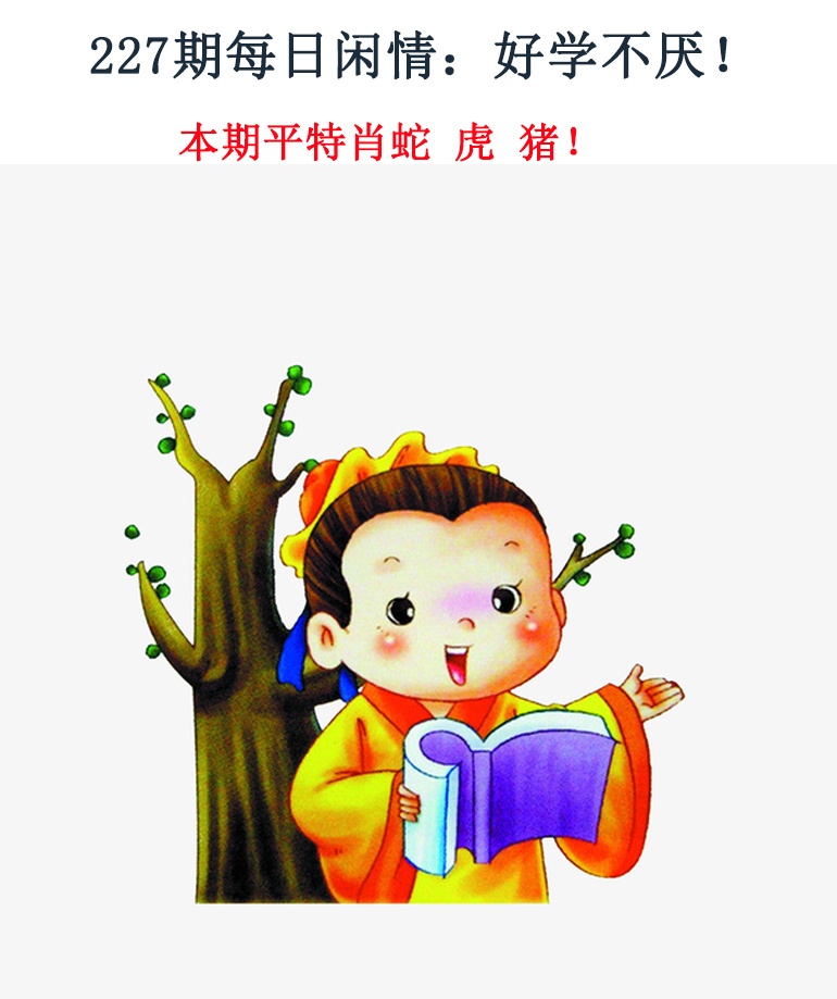 227期每日闲情