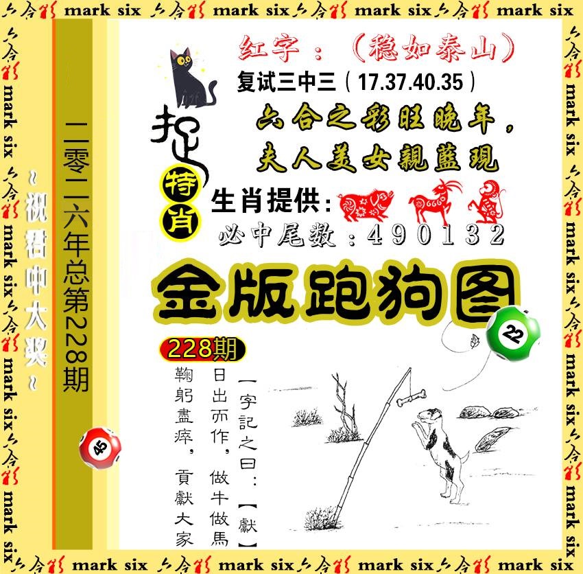228金版跑狗