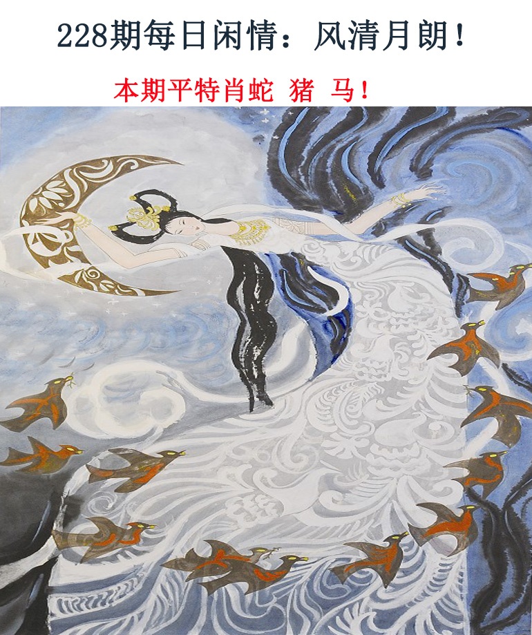 228期每日闲情