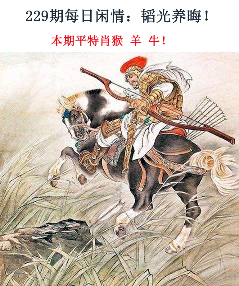 229期每日闲情